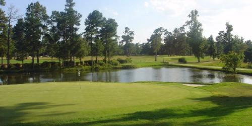 Shannon Greens Golf Club
