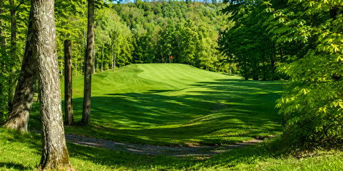 Skye Golf in the Whitecap Mountains