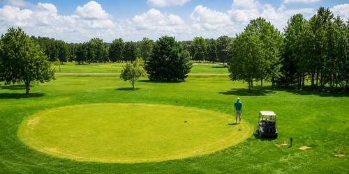 The Sand Trap