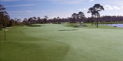 Champions Club at Summerfield