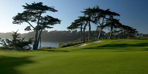 TPC Harding Park