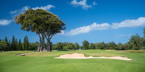 Turtle Bay Resort - George Fazio