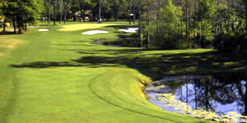 Surf Golf & Beach Club