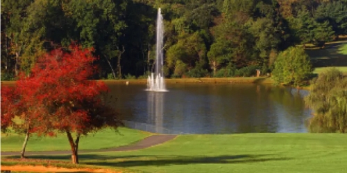 Tanglewood Park - Three Par