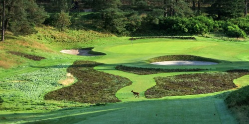 Gleneagles Hotel - Queen's Course