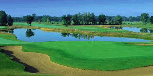 The Woodlands of Van Buren