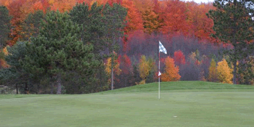 Timber Wolf Golf Club