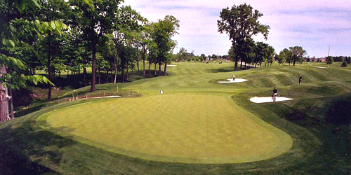 Wedgewood Golf & Country Club