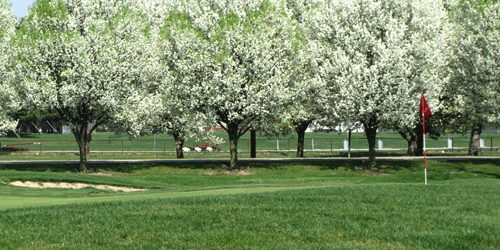 Whispering Hills Golf Course