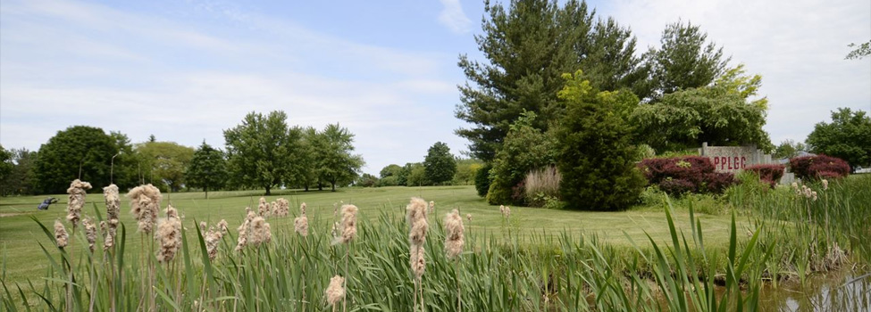 Paw Paw Lake Golf Club