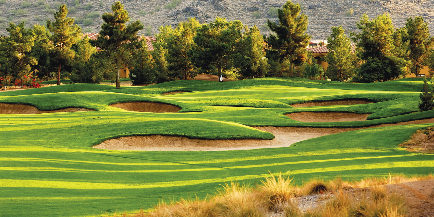 Raven Golf Club - Phoenix