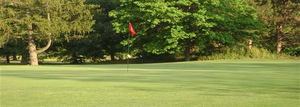 Bob O Link Golf Course