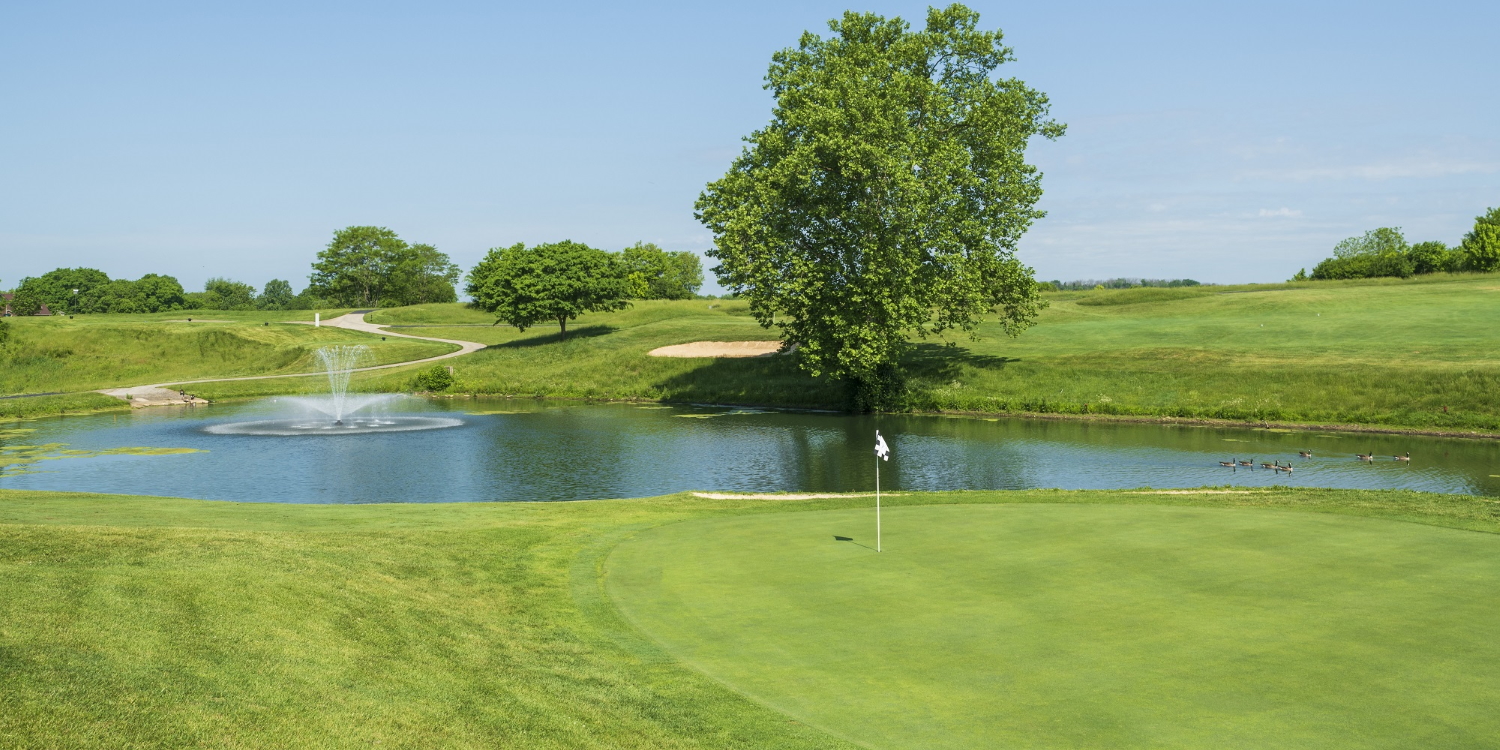 The Bull at Boones Trace