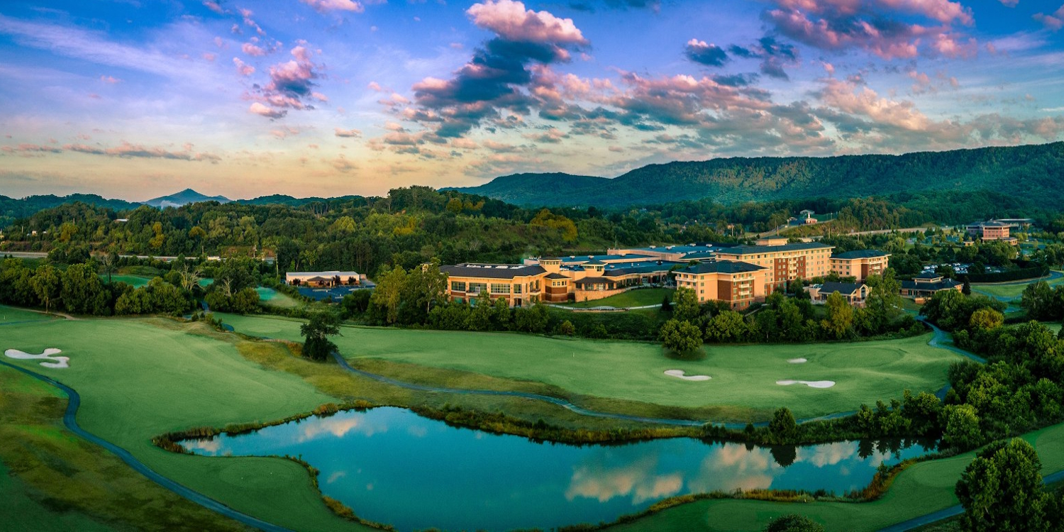 Cattails at MeadowView Golf Course
