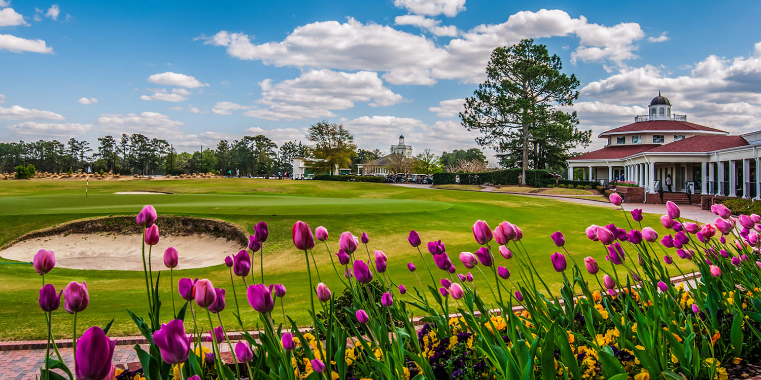 The Cradle - Pinehurst Short Course