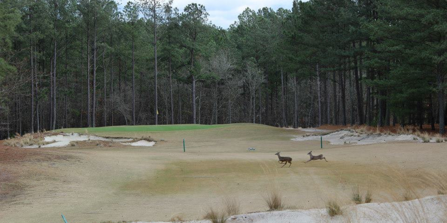 Deercroft Golf & Country Club