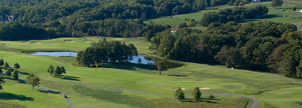 Bella Vista - Dogwood