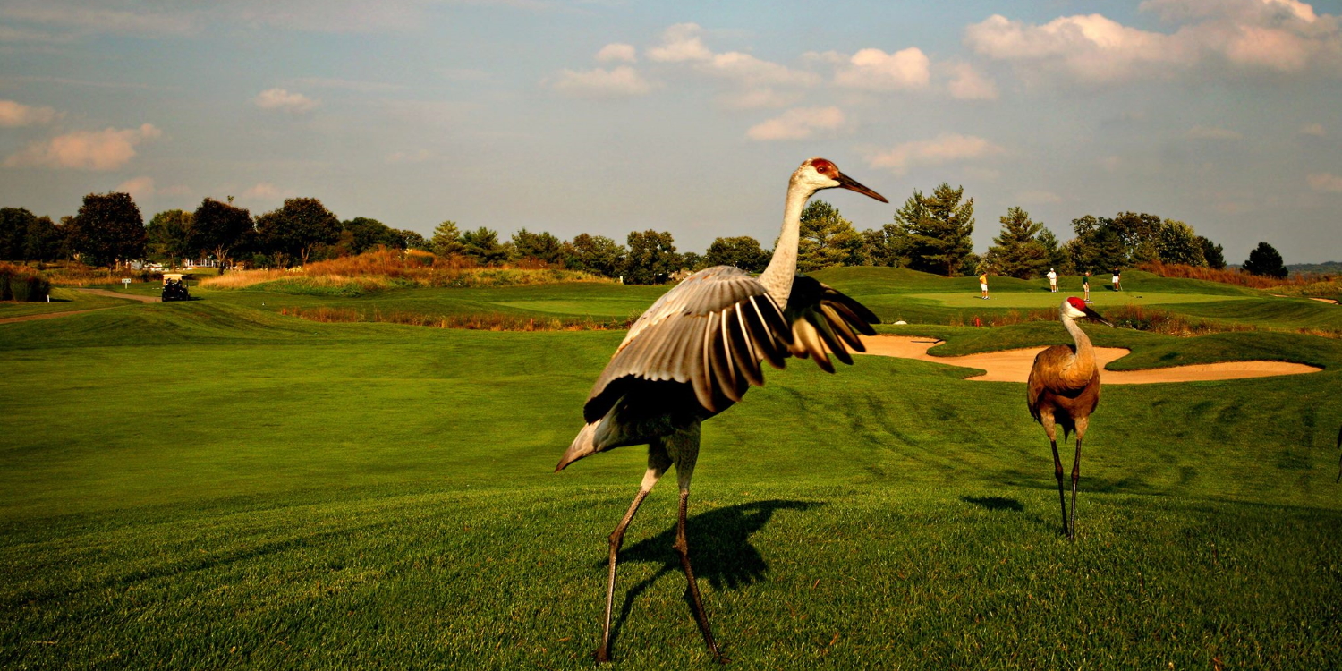 Casino Golf Packages Wisconsin