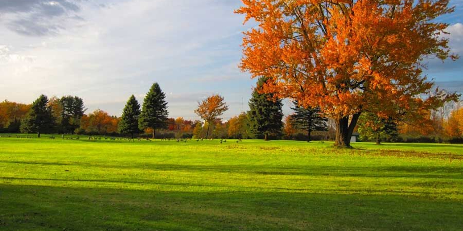 Grayling Country Club