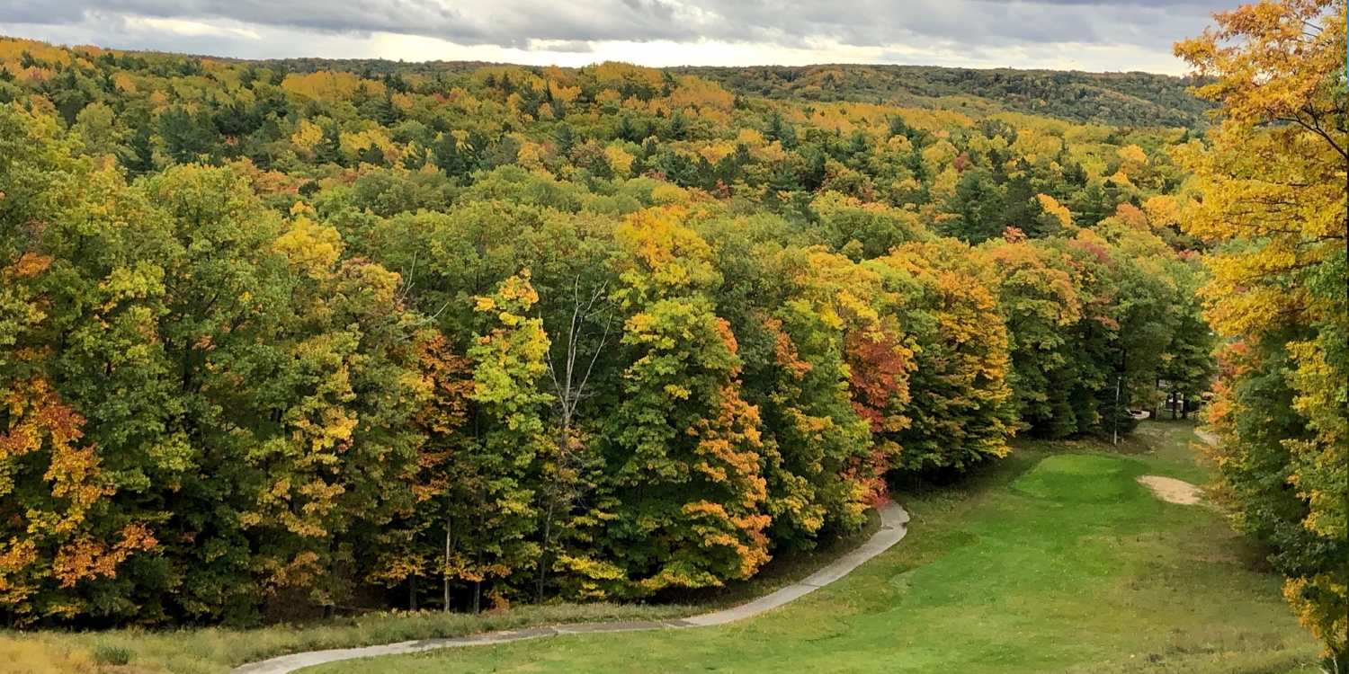 The Homestead Resort - Mountain Flowers
