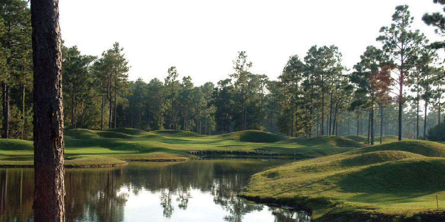 The Club at Pine Forest