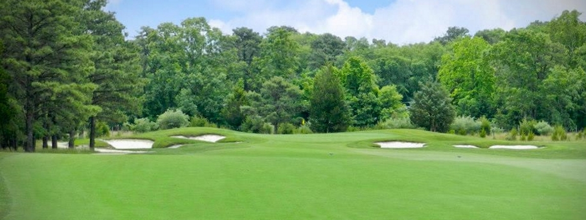 Vineyard Golf at Renault Winery