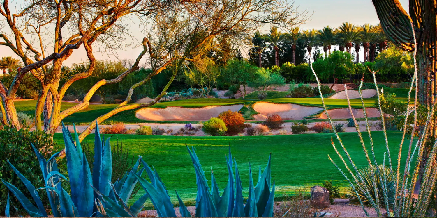 JW Marriott Phoenix Desert Ridge Resort & Spa - Wildfire