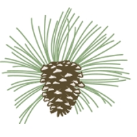 Pine Needles Lodge & Golf Club