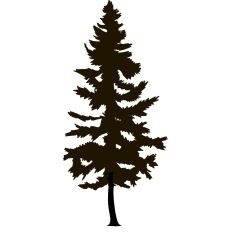 Southern Pines Golf Club